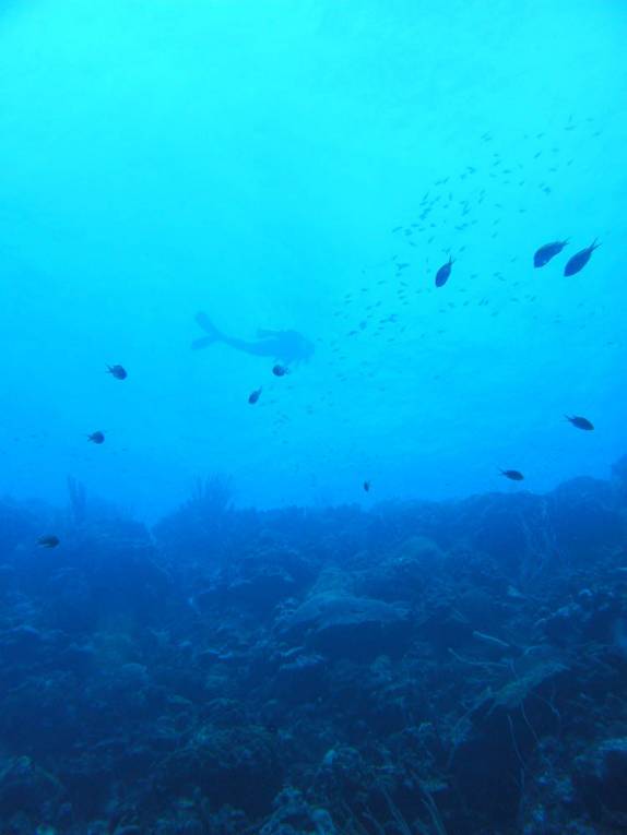 Mergulhando em Karpata, no norte de Bonaire
